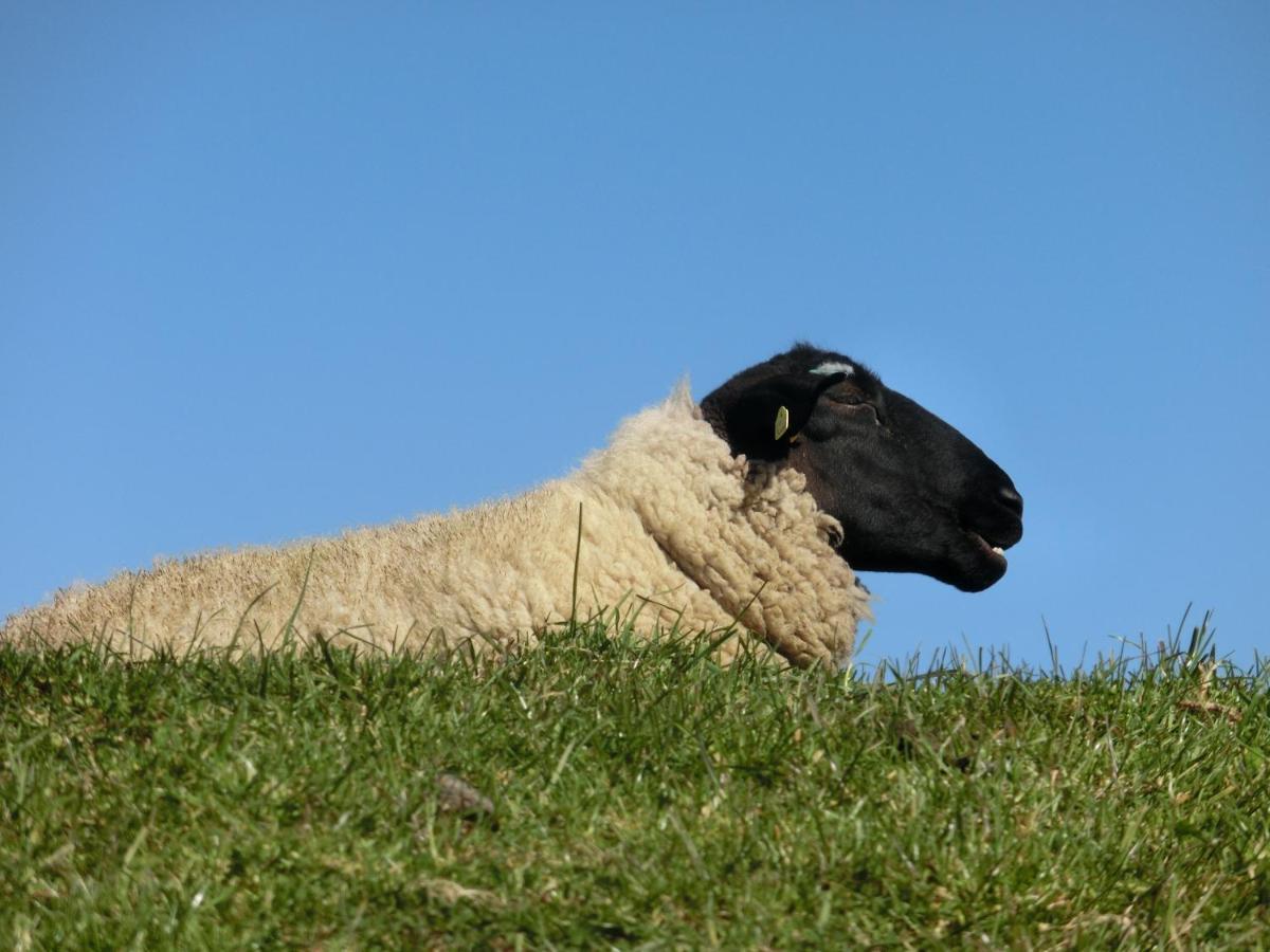 Suedstrandperle Wyk auf Föhr Exterior foto